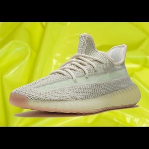 Meet your Posher, Dylan